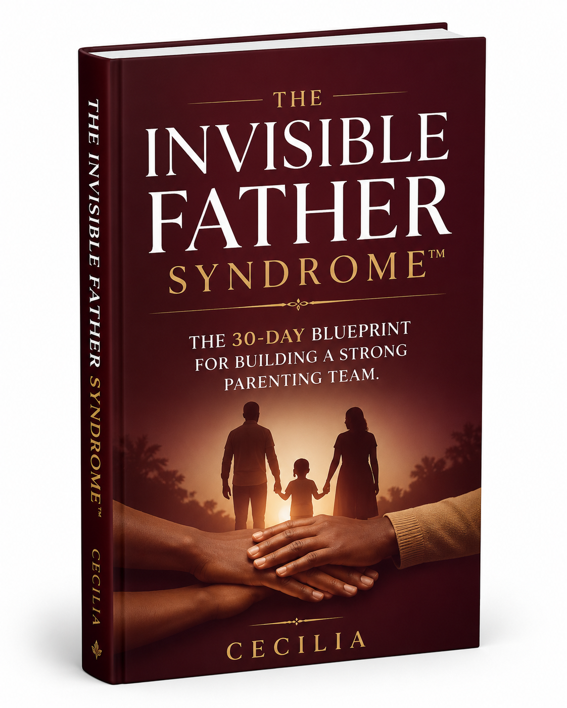 The Invisible Father Syndrome - PDF Guide